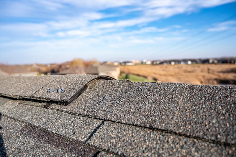Asphalt Shingle Roof Repair
