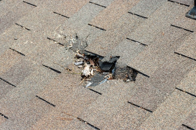 Fix Missing Asphalt Shingles