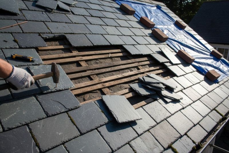Signs Your Tar Roof Needs Repair